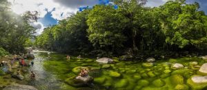 Restaurant Listing Partner Accommodation Daintree