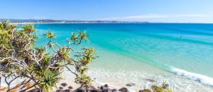 Restaurant Listing Partner Palm Beach Accommodation