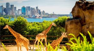 Restaurant Listing Partner Attractions